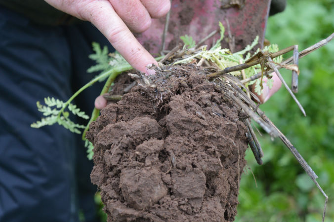 Good Soil Guide